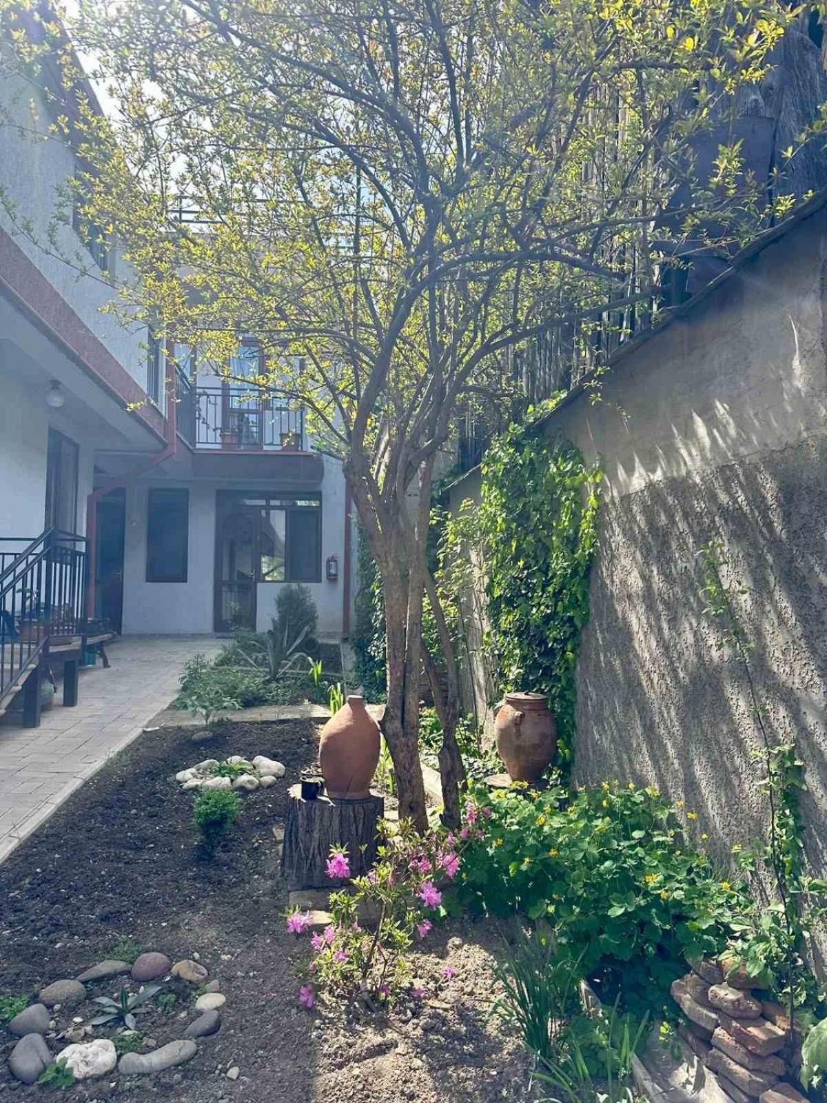 Hotel Tradicia Тбілісі Екстер'єр фото